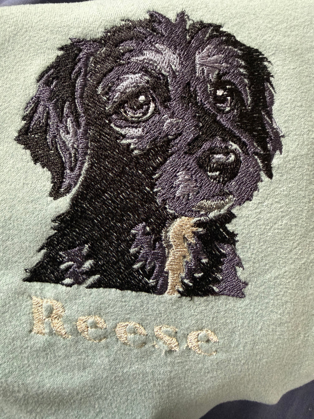 Full colored Custom Pet